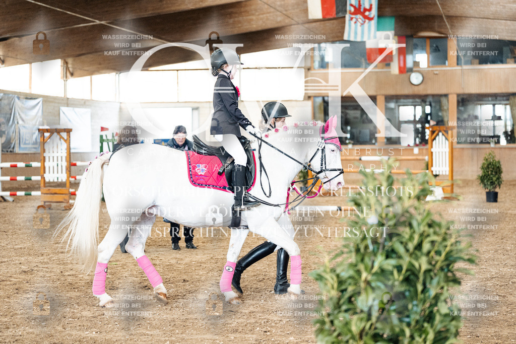 CK905930 | Turnierfotografie Pferdefotografie Trier Rheinland-Pfalz Pferdesport Reitsport Tierfotografie Sportfotografie Pferdevideo Pferdevideografie Equestrianvideography equestrianphotography  - Realized with Pictrs.com