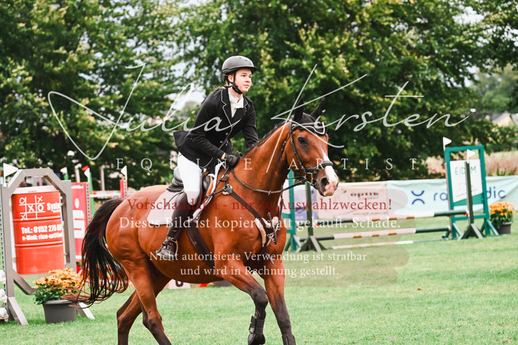 DSC_5933 | Pferde- und Turnierfotografie in Westsachsen. Pferdeportraits, Auftragszeichnungen und intuitive Kunst.