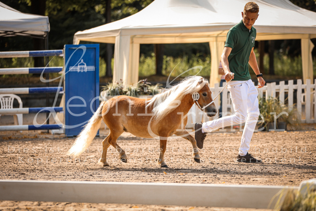 01.So00011 | Leoni Ertmer Photography - Realisiert mit Pictrs.com