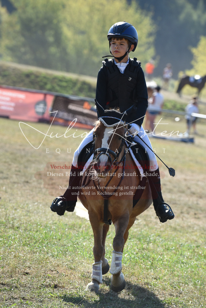 DSC_5947 | Pferde- und Turnierfotografie in Westsachsen. Pferdeportraits, Auftragszeichnungen und intuitive Kunst.