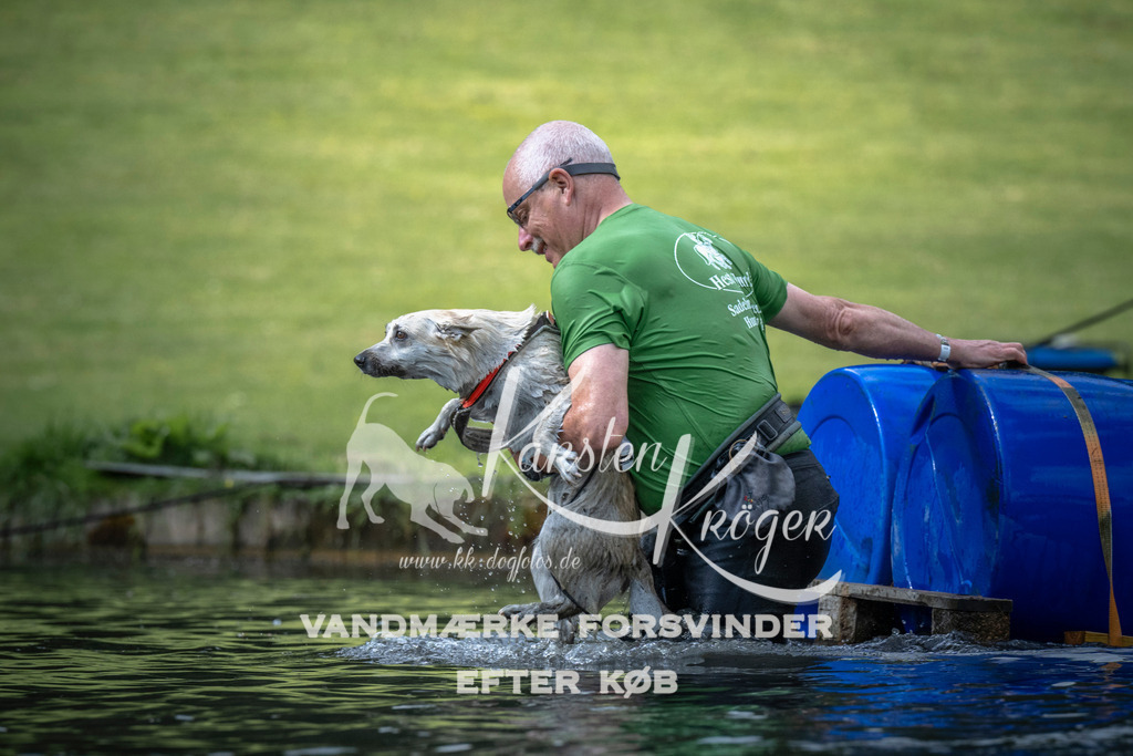 0839_ZZ99967 | kk-dogfotos