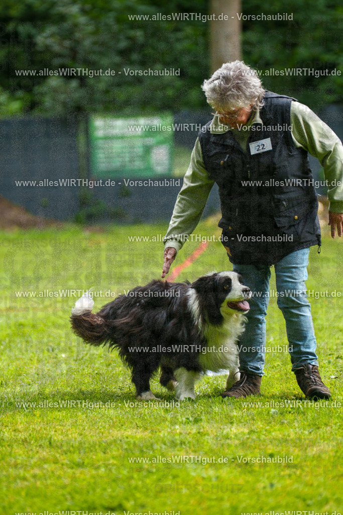@allesWIRTHgut_Tierfotografie - www.allesWIRTHgut.de - 7R502792 | Professionelle Tierfotografie in Mönchengladbach von Daniel Wirth (allesWIRTHgut). Liebevolle & natürliche Bilder von Hunden & Katzen für unvergessliche Erinnerungen.