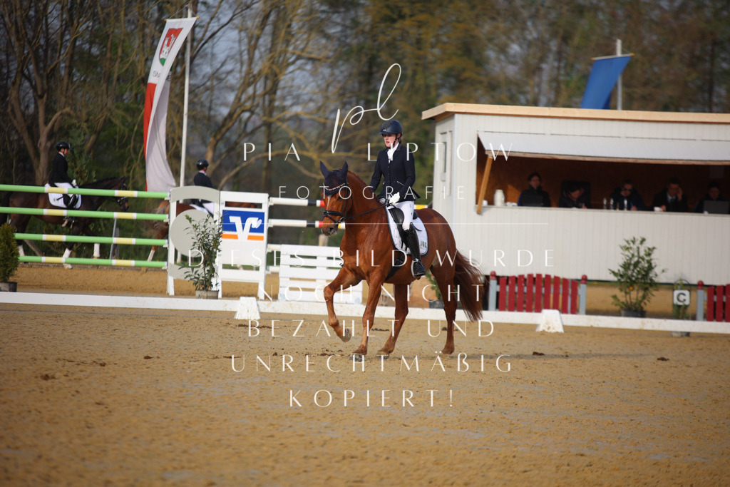 IMGT8383 | pl-fotografie