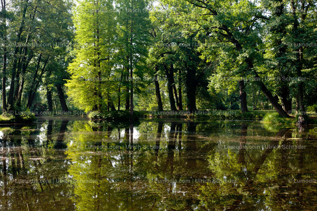 100494-4273 - Schlosspark Krumke | Stockfoto und Bilderpool mit Bildmaterial aus Deutschland, dem Harz, Halberstadt, Quedlinburg, Wernigerode und weltweit. Qualitativ hochwertige und professionelle Fotos anschauen und kaufen. - Realisiert mit Pictrs.com