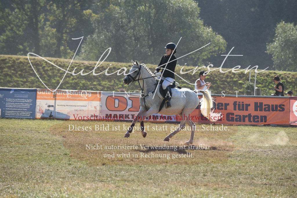 DSC_5875 | Pferde- und Turnierfotografie in Westsachsen. Pferdeportraits, Auftragszeichnungen und intuitive Kunst.