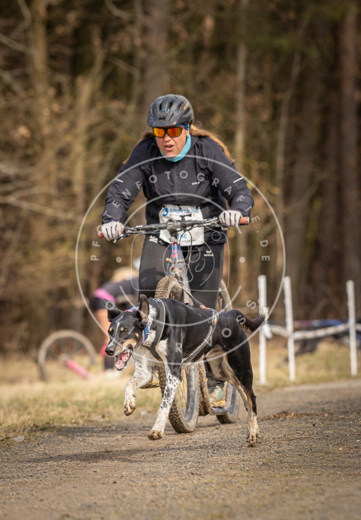 DV3A4738 | Hundefotografie, Tierfotograf, Pfotenfotografie, Fotoshooting Hund, Hunde Portrait, Hundesport, Hundeportraits, Heideshooting, Hunde, Sportfotograf, Hundefotograf, Turnierhundsport, THS,  - Realisiert mit Pictrs.com