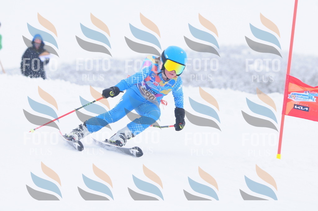 C2730 | holidayphoto