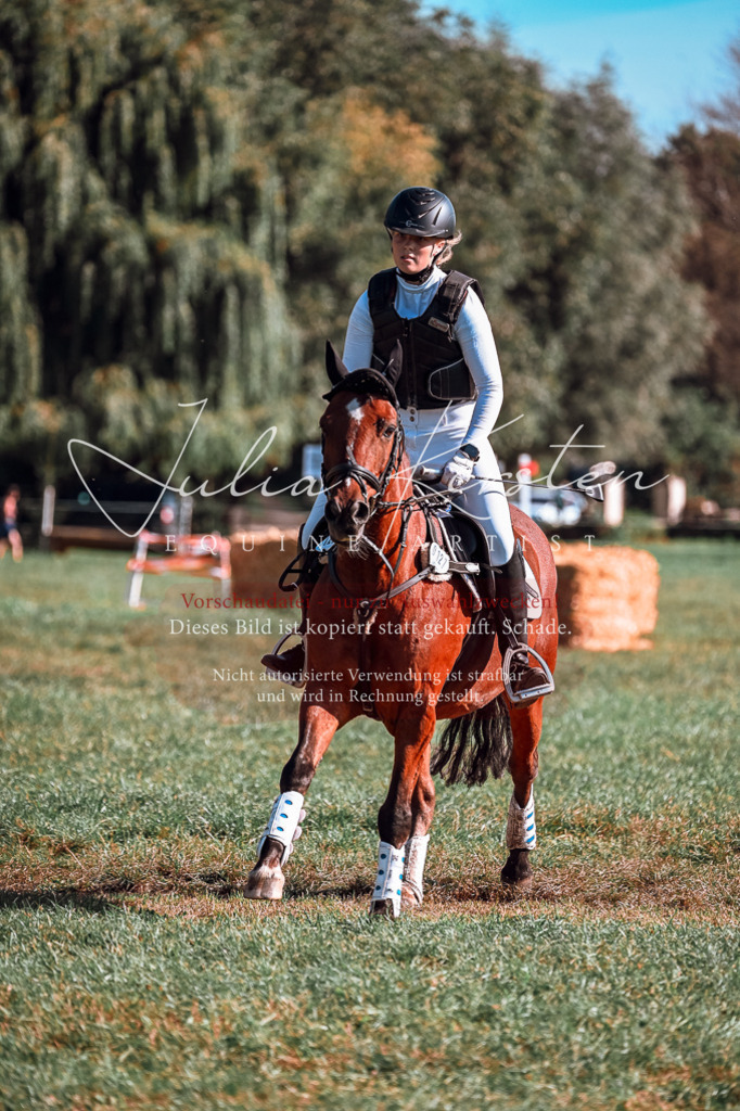 DSC_0628 | Pferde- und Turnierfotografie in Westsachsen. Pferdeportraits, Auftragszeichnungen und intuitive Kunst.