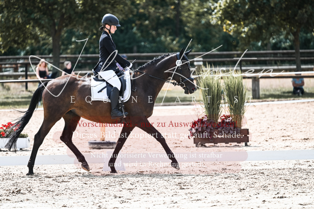 DSC_5244 | Pferde- und Turnierfotografie in Westsachsen. Pferdeportraits, Auftragszeichnungen und intuitive Kunst.