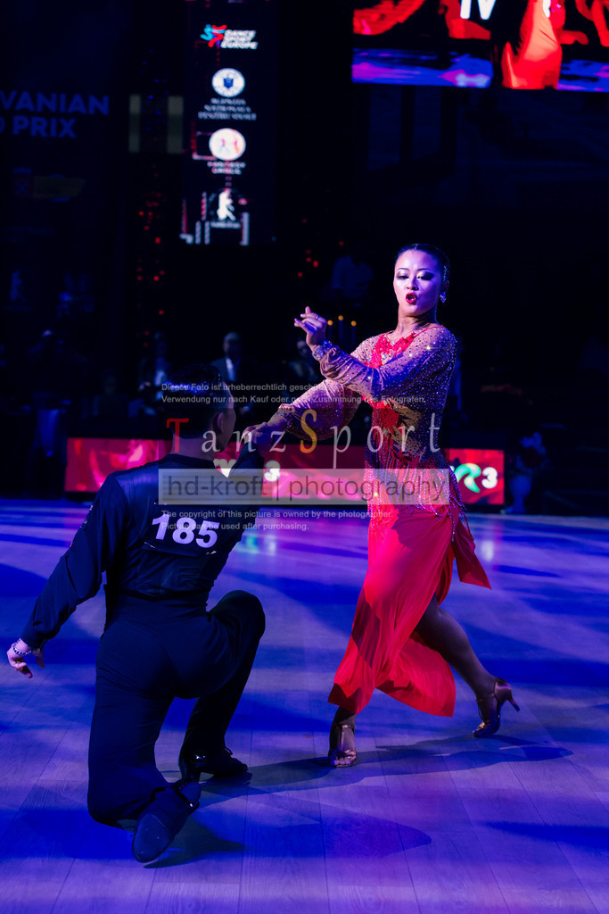 IMG_8431 | Tanzsportbilder, Standardtanz, Lateintanz, WDSF, DTV, LTVB, dancecomp, goc, hessen tanzt, blaues band der spree, walzer, tango, wiener walzer, slowfox, quickstepp, samba, rumba, cha-cha-cha, paso doble. jive, hd-kroft photography, turniertanzsport