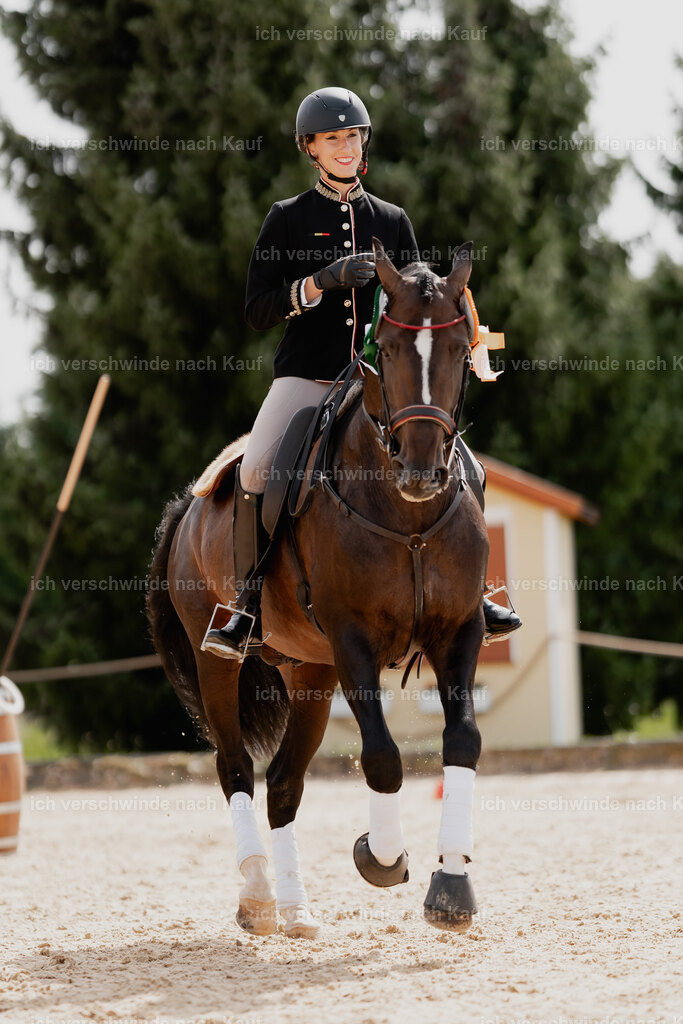 Virginie12FHC2025-01767 | working equitationturnier fotograf videograf stoibphotography marixx film working equitation deutschland reitsport turnierfotografie eventfotografie equestrian events