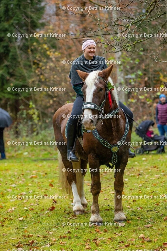 LL25-163 | foto-bettina-krinner - Realisiert mit Pictrs.com