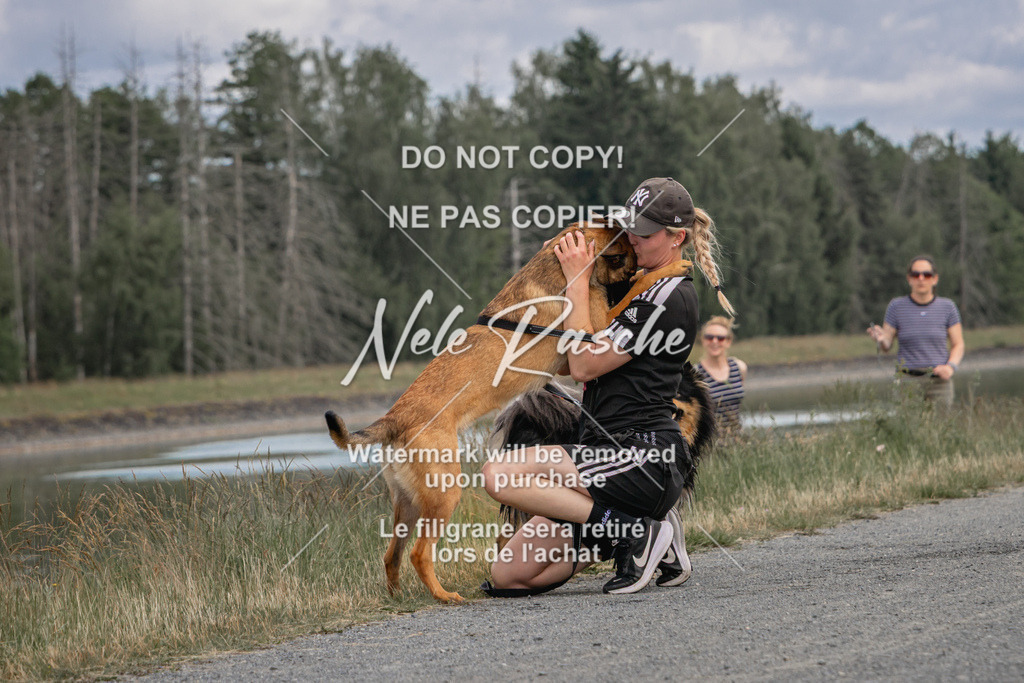 nelerasche_BuHu2026_SaCC1100-1200_138 | nelerasche