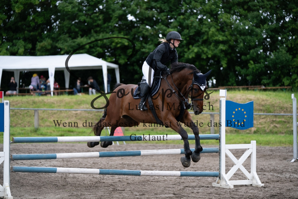 A7V05018 | Pferdefotograf