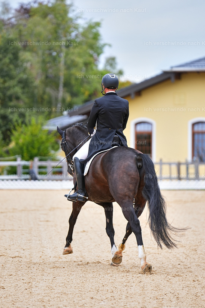 8_1-045-Klasse S_  -Marixx-4035 | working equitationturnier fotograf videograf stoibphotography marixx film working equitation deutschland reitsport turnierfotografie eventfotografie equestrian events