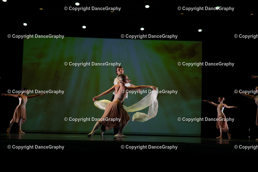 GPHY6293 | DanceGraphy - Realisiert mit Pictrs.com