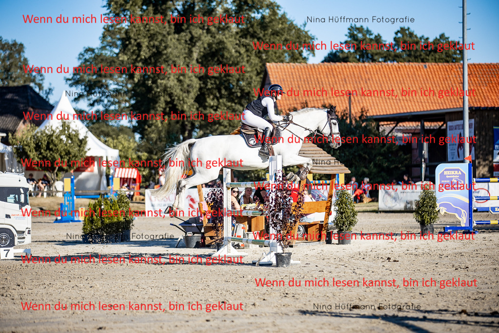 BK1A8346 | Turnierbilder Turnierfotos Nina Hüffmann Turnierfotografie Pferdefotografie Tierzeichnung Haustierzeichnung Pferdezeichnung Hundezeichnung Videograf  - Realisiert mit Pictrs.com