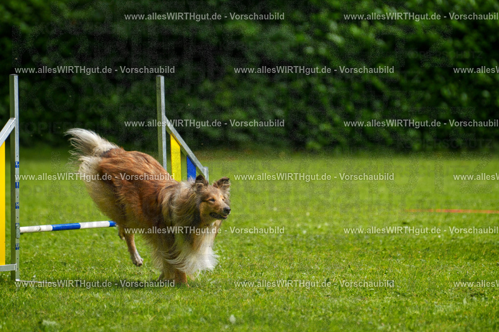 @allesWIRTHgut_Tierfotografie - www.allesWIRTHgut.de - 7R503054 | Professionelle Tierfotografie in Mönchengladbach von Daniel Wirth (allesWIRTHgut). Liebevolle & natürliche Bilder von Hunden & Katzen für unvergessliche Erinnerungen.