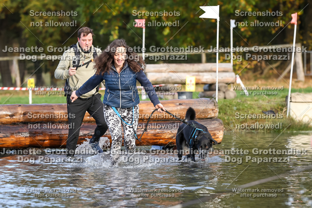 Dog Paparazzi - Strongdog 10-25-8321 | Dog Paparazzi Jeanette Grottendiek Fotografie & Videografie - Realisiert mit Pictrs.com