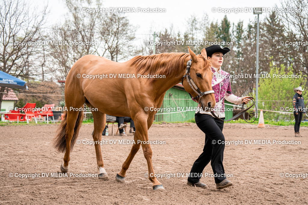 BA300169 | dv-media-shop - Realisiert mit Pictrs.com