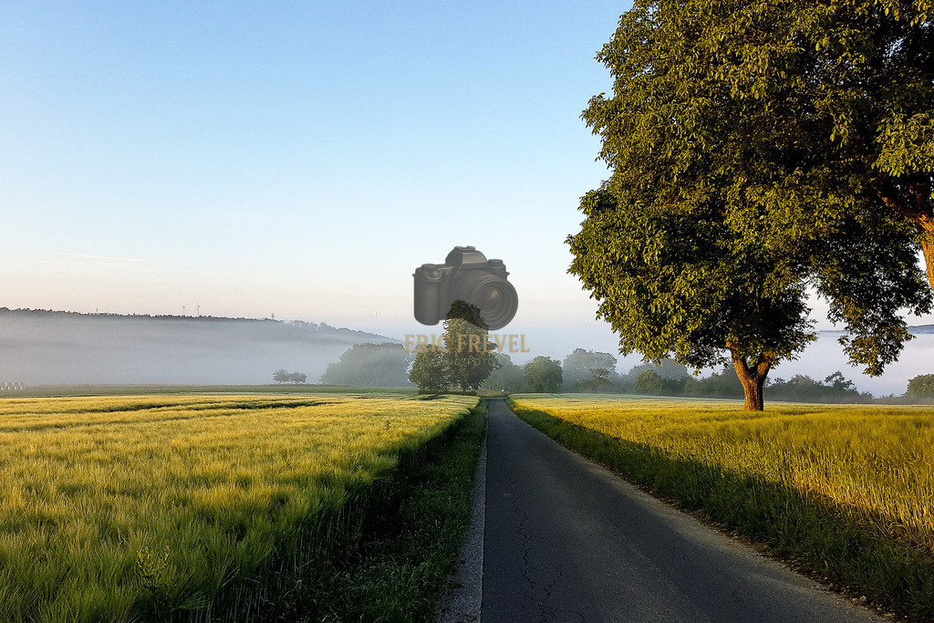 20180603_061046_Original | Photography by Eric Frevel - Realisiert mit Pictrs.com