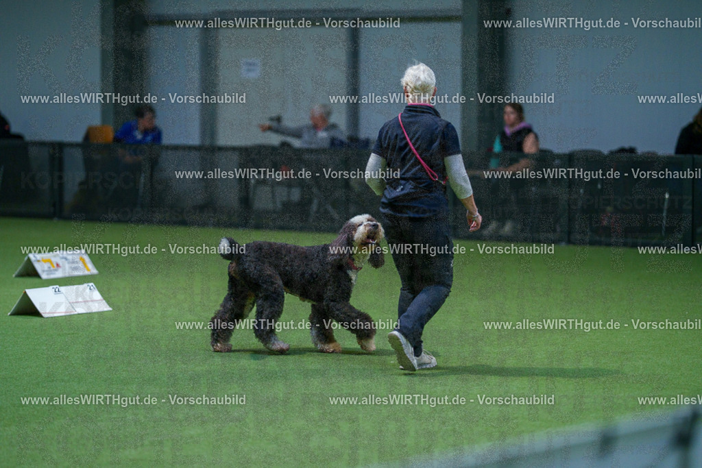 7R502676 | Professionelle Tierfotografie in Mönchengladbach von Daniel Wirth (allesWIRTHgut). Liebevolle & natürliche Bilder von Hunden & Katzen für unvergessliche Erinnerungen.