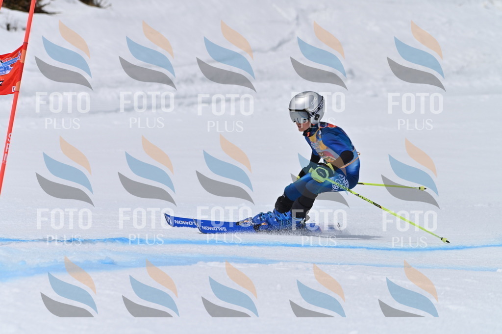 BGV_4437 | holidayphoto