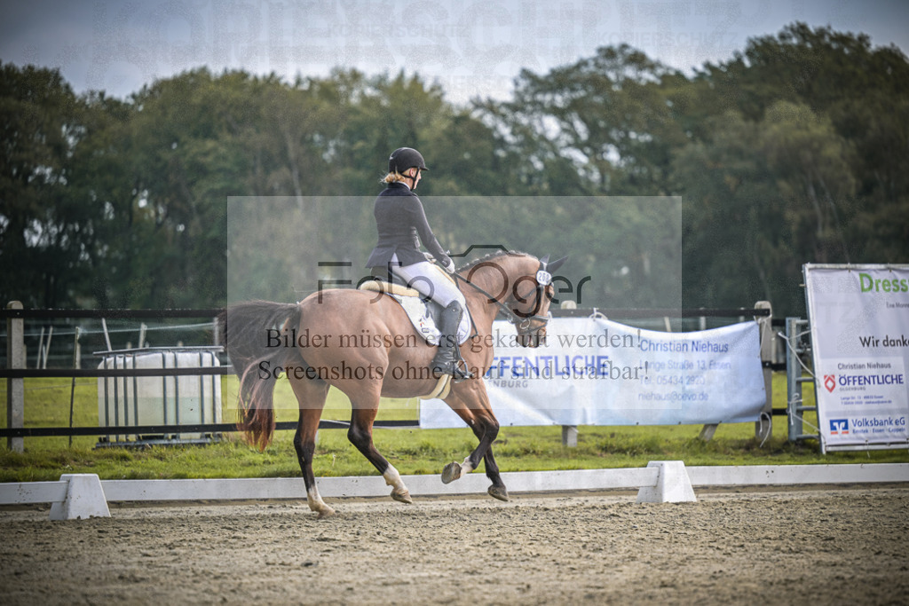 DOS_B208 | Entdecke hochwertige Reitturnierfotos von Foto Oger. Professionell, emotional und authentisch – jetzt Lieblingsmomente im Shop bestellen.Deutschlandweite Turnierfotografie. - Realisiert mit Pictrs.com