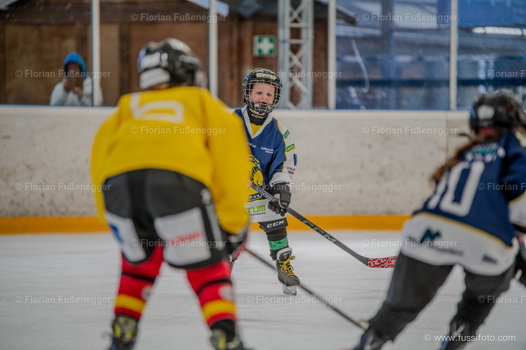 DSC_0990 | "Fussifoto.com – Ihr Ansprechpartner für hochwertige Fotografie! Entdecken Sie kreative Bilder und professionelle Dienstleistungen. Kontaktieren Sie uns für Ihre Projekte!"