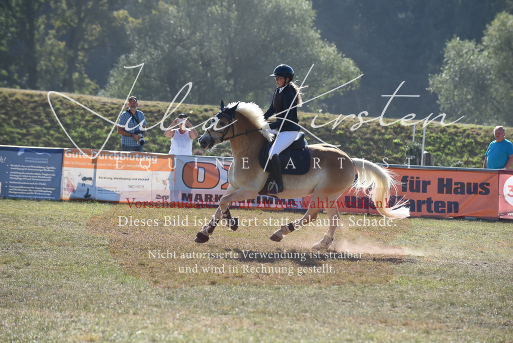 DSC_5892 | Pferde- und Turnierfotografie in Westsachsen. Pferdeportraits, Auftragszeichnungen und intuitive Kunst.