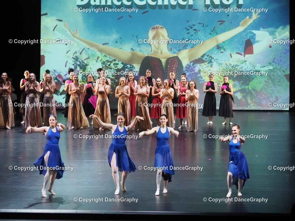 P7260474 | DanceGraphy - Realisiert mit Pictrs.com