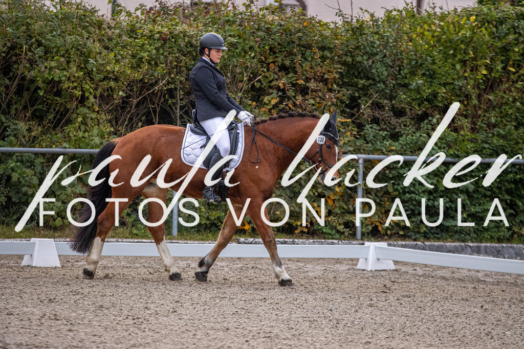 IMG_2531 | Erleben Sie dynamische Sport- und emotionale Tierfotografie in Süddeutschland mit Fotos von Paula. Spezialisiert auf Pferde- und Hundefotografie sowie Sportevents. Kontaktieren Sie mich für einzigartige und ausdrucksstarke Bilder Ihrer besonderen Momente. - Realisiert mit Pictrs.com