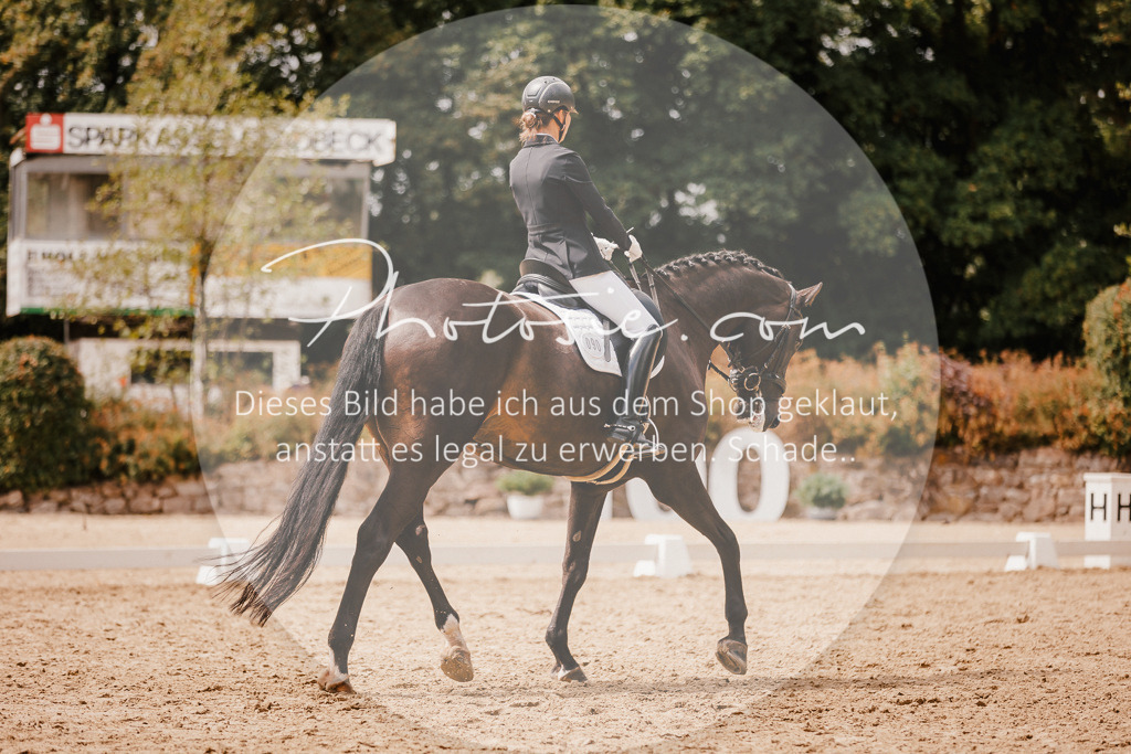 3I6A6135 | Stimmungsvolle Portraits und Reitsportfotografie im Ruhrgebiet und im Münsterland.

Pferdefotografie, Hundefotografie, Tierfotografie, Reportagen, Portraits von Tier und Mensch, Turnierfotografie in Bochum, Recklinghausen, Marl, Haltern am See, Dülmen.. - Realisiert mit Pictrs.com