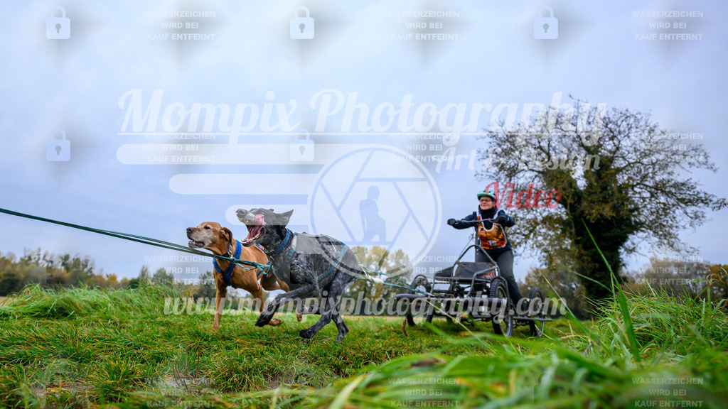 MompixPhotography_CDLBDB2025_DI_Kart-12 | PayLife