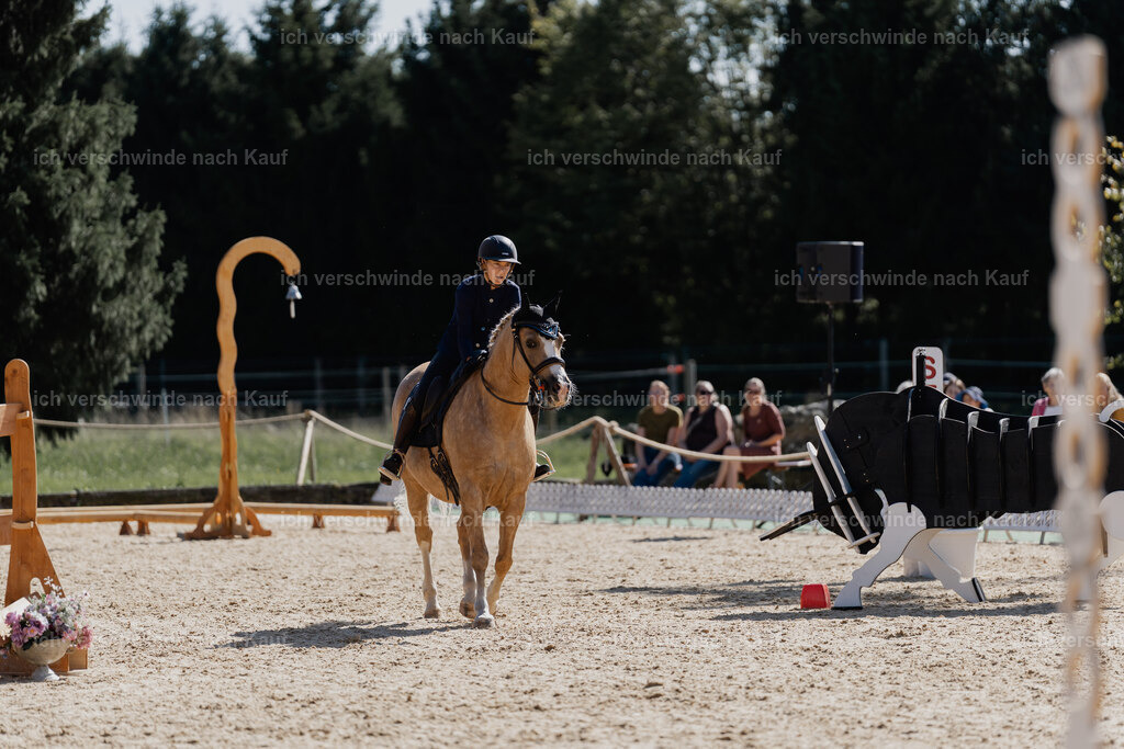 Nici11_FHC2025-09105 | working equitationturnier fotograf videograf stoibphotography marixx film working equitation deutschland reitsport turnierfotografie eventfotografie equestrian events