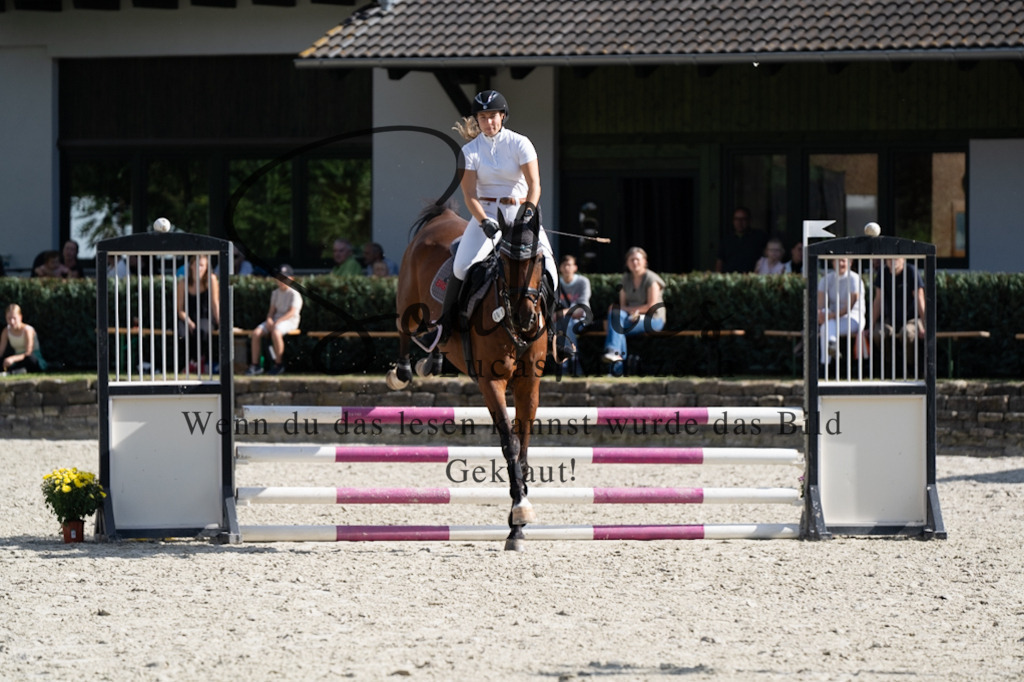 A7V07604 | Pferdefotograf