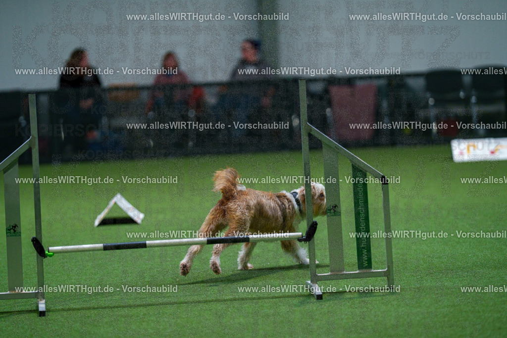 7R503395 | Professionelle Tierfotografie in Mönchengladbach von Daniel Wirth (allesWIRTHgut). Liebevolle & natürliche Bilder von Hunden & Katzen für unvergessliche Erinnerungen.