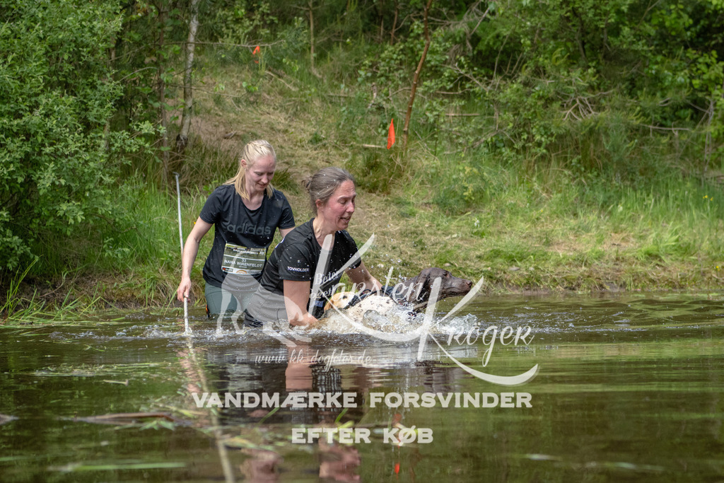 1242DKK993333 | kk-dogfotos