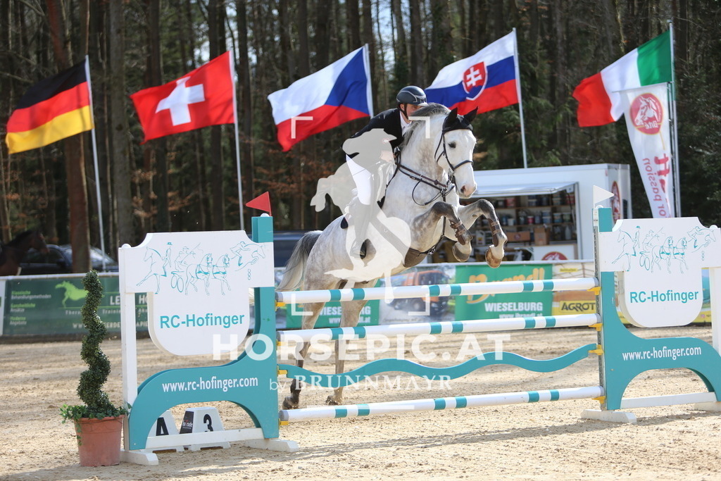 DL2Q0514 | Willkommen bei Brunnmayr - Design & Fotografie – Ihrem Spezialisten für Reitturniere und Pferdeveranstaltungen in Oberösterreich, Salzburg und Bayern! Seit über 17 Jahren sind wir leidenschaftlich dabei.