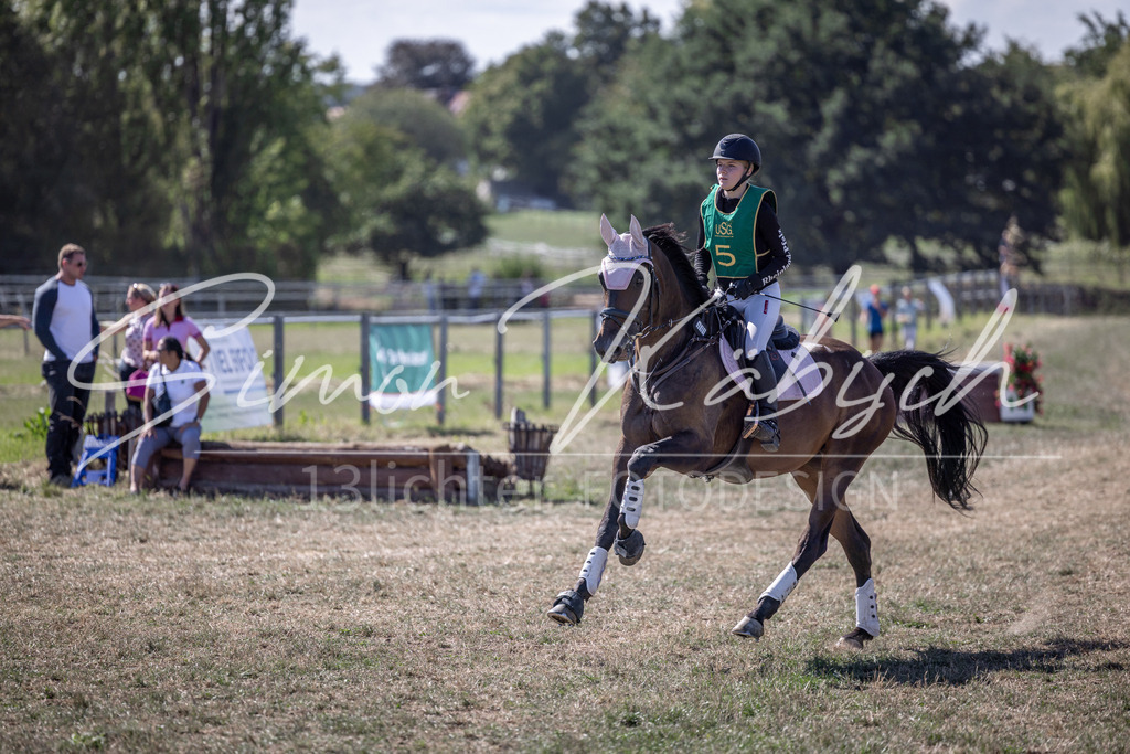 20260906-_3LI5227 | Tierfotografie Pferde, Hunde, Katzen, Haustiere.
Turnierfotografie Reitturniere, Reiten, Springreiten, Dressur in Hanau, dem Main-Kinzig-Kreis und dem Rhein-Main- Gebiet um Frankfurt