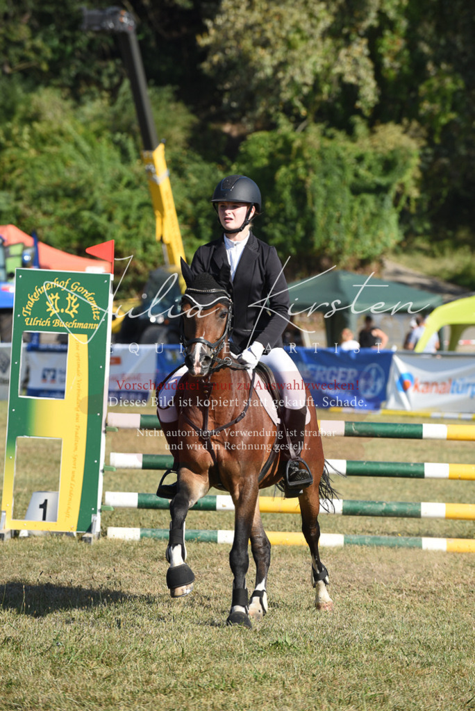 DSC_5414 | Pferde- und Turnierfotografie in Westsachsen. Pferdeportraits, Auftragszeichnungen und intuitive Kunst.