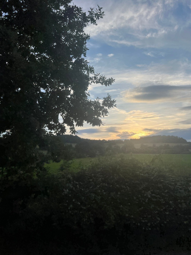 IMG_7476 | ace - Realisiert mit Pictrs.com