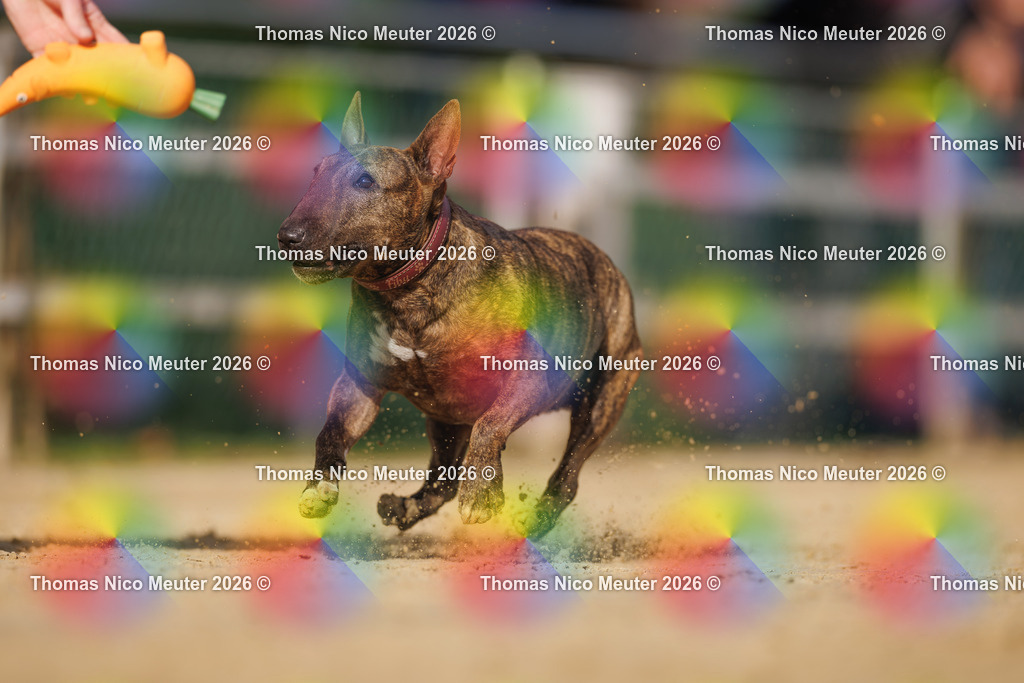 Thomas_Nico_Meuter(C)_03. Oktober 2026_223A2530 | Bild von Thomas Nico Meuter - Realisiert mit Pictrs.com