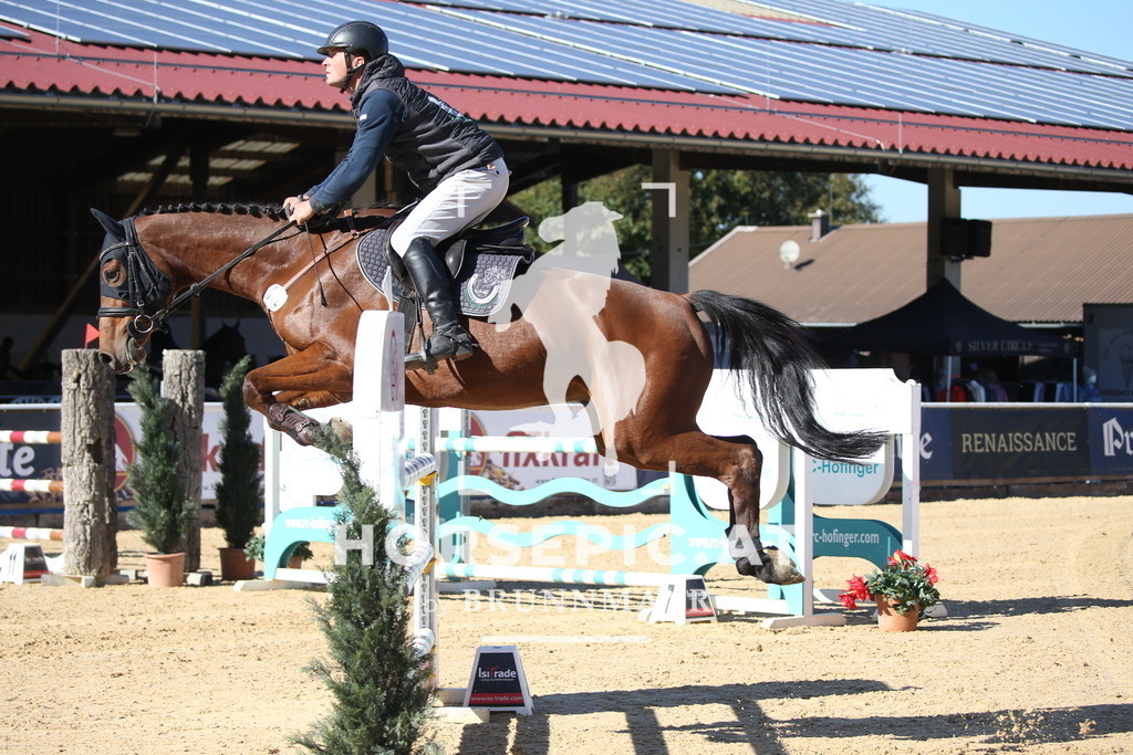 DL2Q3293 | Willkommen bei Brunnmayr - Design & Fotografie – Ihrem Spezialisten für Reitturniere und Pferdeveranstaltungen in Oberösterreich, Salzburg und Bayern! Seit über 17 Jahren sind wir leidenschaftlich dabei.