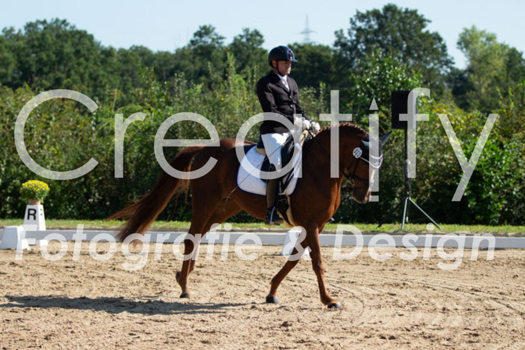 IMG_3178 | Creatify Fotografie