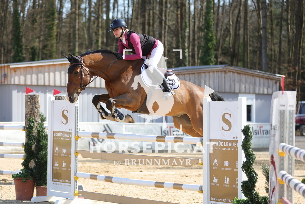 0P6A1991 | Willkommen bei Brunnmayr - Design & Fotografie – Ihrem Spezialisten für Reitturniere und Pferdeveranstaltungen in Oberösterreich, Salzburg und Bayern! Seit über 17 Jahren sind wir leidenschaftlich dabei.