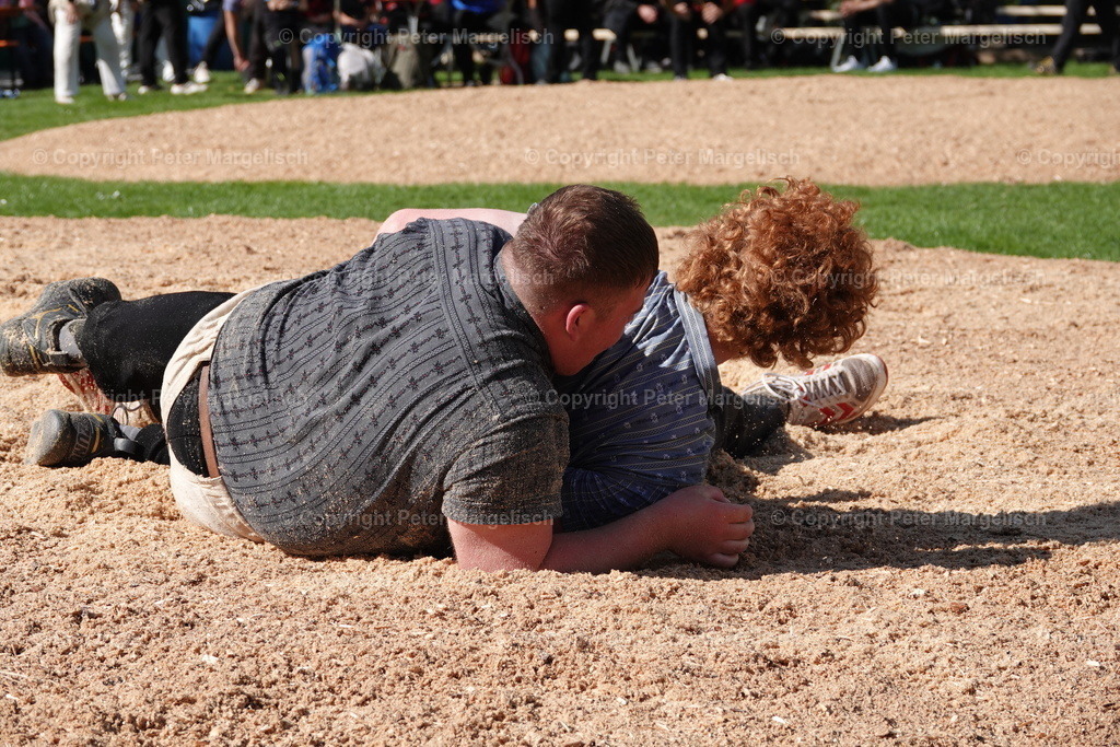 DSC00501 | Schwingen - Realisiert mit Pictrs.com