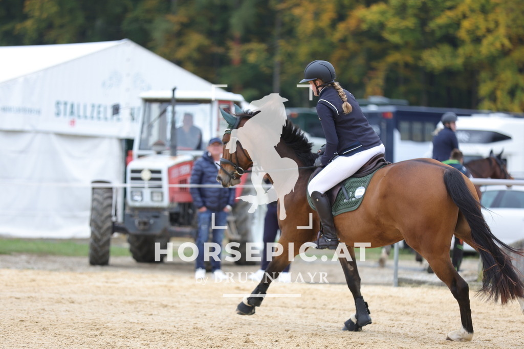 0P6A1686 | Willkommen bei Brunnmayr - Design & Fotografie – Ihrem Spezialisten für Reitturniere und Pferdeveranstaltungen in Oberösterreich, Salzburg und Bayern! Seit über 17 Jahren sind wir leidenschaftlich dabei.