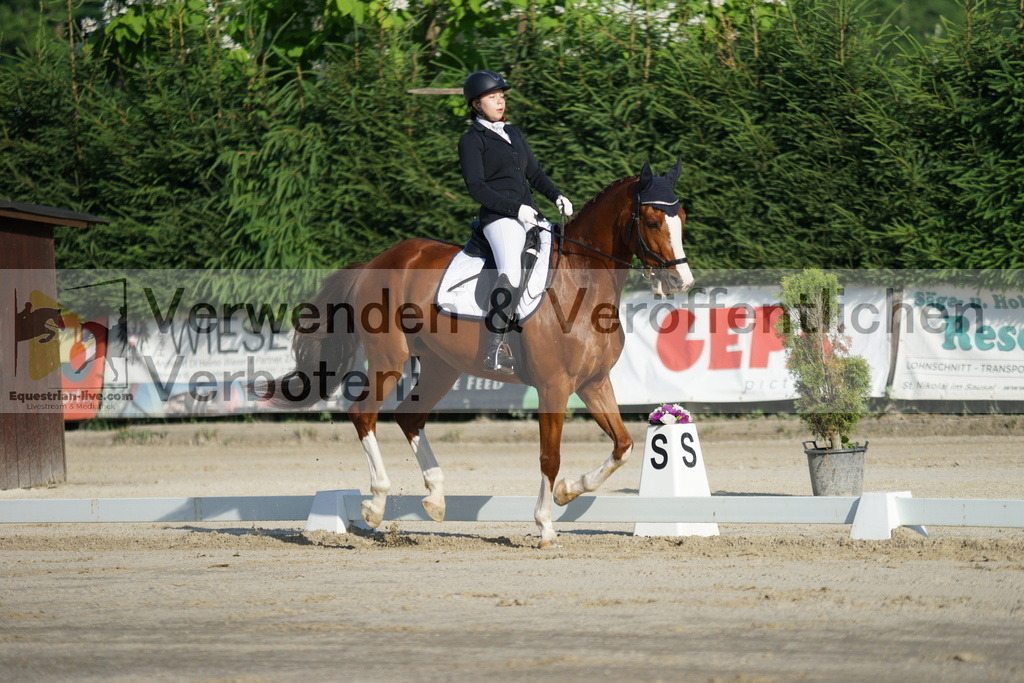 DSC04309 | equestrian-live-com