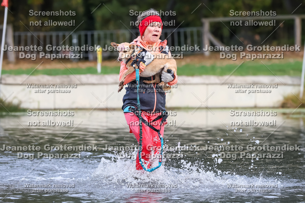 Dog Paparazzi - Strongdog 10-25-6848 | Dog Paparazzi Jeanette Grottendiek Fotografie & Videografie - Realisiert mit Pictrs.com